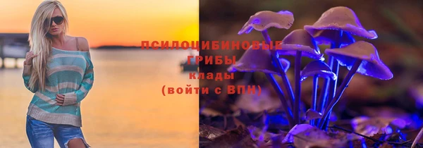 скорость mdpv Белокуриха